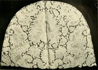 An illustration from History of lace (1902)