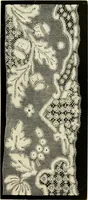 An illustration from History of lace (1902)