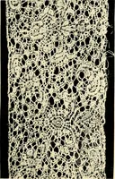 An illustration from History of lace (1902)