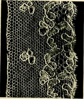 An illustration from History of lace (1902)