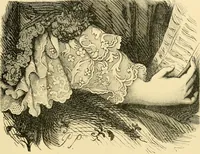 An illustration from History of lace (1902)