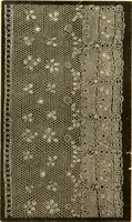 An illustration from History of lace (1902)