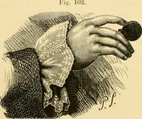 Picture 170 of 276 from History of lace (1902), leaf 374