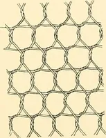 An illustration from History of lace (1902)