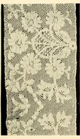 An illustration from History of lace (1902)