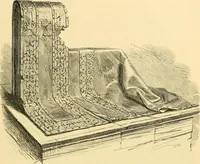 An illustration from History of lace (1902)