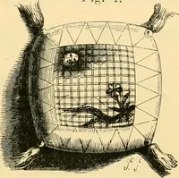 An illustration from History of lace (1902)