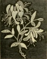 An illustration from History of lace (1902)