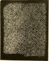 An illustration from History of lace (1902)