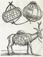Picture 10 of 17 from The history of Lapland, wherein are shewed the original, manners, habits, marriages, conjurations, &c. of that people (1674), leaf 102