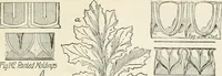 An illustration from A history of ornament (1916)