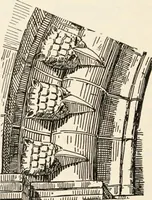 Picture 191 of 378 from A history of ornament (1916), leaf 295