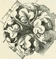 Picture 217 of 378 from A history of ornament (1916), leaf 316
