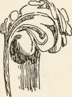 Picture 237 of 378 from A history of ornament (1916), leaf 333