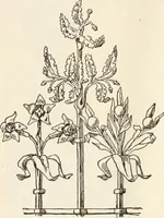 Picture 246 of 378 from A history of ornament (1916), leaf 343