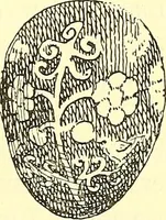 An illustration from A history of ornament .. (1916)