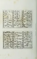 An illustration from The history of Our Lord as exemplified in works of art : with that of His types, St. John the Baptist, and other persons of the Old and New Testament (1892)