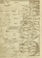An illustration from A history of painting in north Italy; Venice, Padua, Vicenza, Verona, Ferrara, Millan, Friuli, Brescia, from the fourteenth to the sixteenth century (1871)