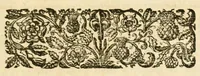 Picture 3 of 4 from The history of the reigns of Henry the Seventh, Henry the Eighth, Edward the Sixth, and Queen Mary (1676), leaf 291