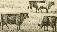 Picture 202 of 229 from History of Rensselaer Co., New York (1880), leaf 784