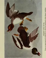 An illustration from A history of the rise and progress of the arts of design in the United States (1918)