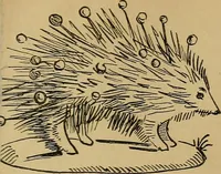 An illustration from The history of signboards : from earliest times to the present day (1866)