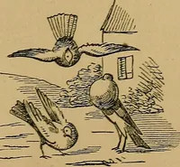 An illustration from The history of signboards : from earliest times to the present day (1866)