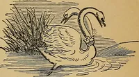 An illustration from The history of signboards : from earliest times to the present day (1866)
