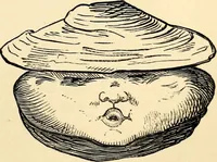 An illustration from The history of signboards : from the earliest times to the present day (1870)