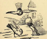 An illustration from The history of signboards : from the earliest times to the present day (1870)