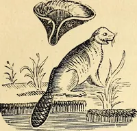 Picture 73 of 97 from The history of signboards : from the earliest times to the present day (1870), leaf 495