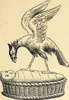 Picture 18 of 97 from The history of signboards : from the earliest times to the present day (1870), leaf 69