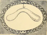 Picture 26 of 97 from The history of signboards : from the earliest times to the present day (1870), leaf 87