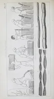 An illustration from The history of silk, cotton, linen, wool, and other fibrous substances : including observations on spinning, dyeing, and weaving : also an account of the pastoral life of the ancients, their social state and attainments in the domestic arts : with appendices on Pliny's Natural history, on the origin and manufacture of linen and cotton paper, on felting, netting, &c., deduced from copious and authentic sources (1845)