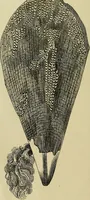An illustration from The history of silk, cotton, linen, wool, and other fibrous substances; (1845)