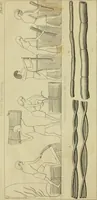 An illustration from The history of silk, cotton, linen, wool, and other fibrous substances; (1845)