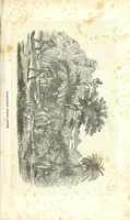 An illustration from The history of slavery and the slave trade, ancient and modern : the forms of slavery that prevailed in ancient nations, particularly in Greece and Rome : the African slave trade and the political history of slavery in the United States (1860)