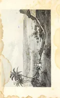 An illustration from The history of slavery and the slave trade, ancient and modern : the forms of slavery that prevailed in ancient nations, particularly in Greece and Rome : the African slave trade and the political history of slavery in the United States (1860)
