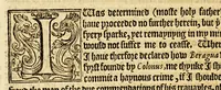 An illustration from The history of trauayle in the VVest and East Indies, and other countreys lying eyther way, towardes the fruitfull and ryche Moluccaes. : ... VVith a discourse of the Northwest passage. (1577)