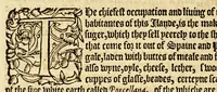 An illustration from The history of trauayle in the VVest and East Indies, and other countreys lying eyther way, towardes the fruitfull and ryche Moluccaes. : ... VVith a discourse of the Northwest passage. (1577)