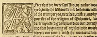 An illustration from The history of trauayle in the VVest and East Indies, and other countreys lying eyther way, towardes the fruitfull and ryche Moluccaes. : ... VVith a discourse of the Northwest passage. (1577)