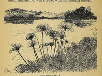 Picture 2 of 10 from The history of the Universities' Mission to Central Africa, 1859-1909 (1909), leaf 64