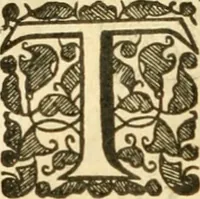 An illustration from The history of Venice, in the times of Julius the 2d ... (1658)
