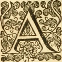 An illustration from The history of Venice, in the times of Julius the 2d ... (1658)