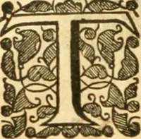 An illustration from The history of Venice, in the times of Julius the 2d ... (1658)