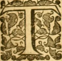 An illustration from The history of Venice, in the times of Julius the 2d ... (1658)