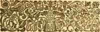 An illustration from The history of Venice, in the times of Julius the 2d ... (1658)