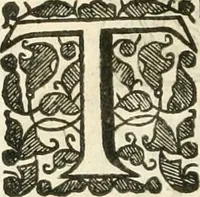 An illustration from The history of Venice ... Written originally in Italian (1658)