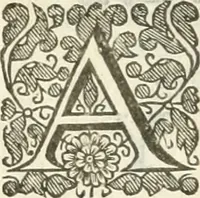 An illustration from The history of Venice ... Written originally in Italian (1658)
