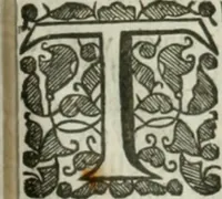 An illustration from The history of Venice ... Written originally in Italian (1658)